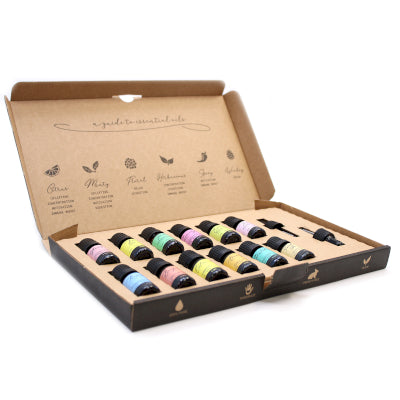 🌿 Aromatherapie Starter Set – 12 Essentiële Oliën
